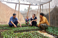 Phát huy tinh thần “3 dám” trong học và làm theo Bác